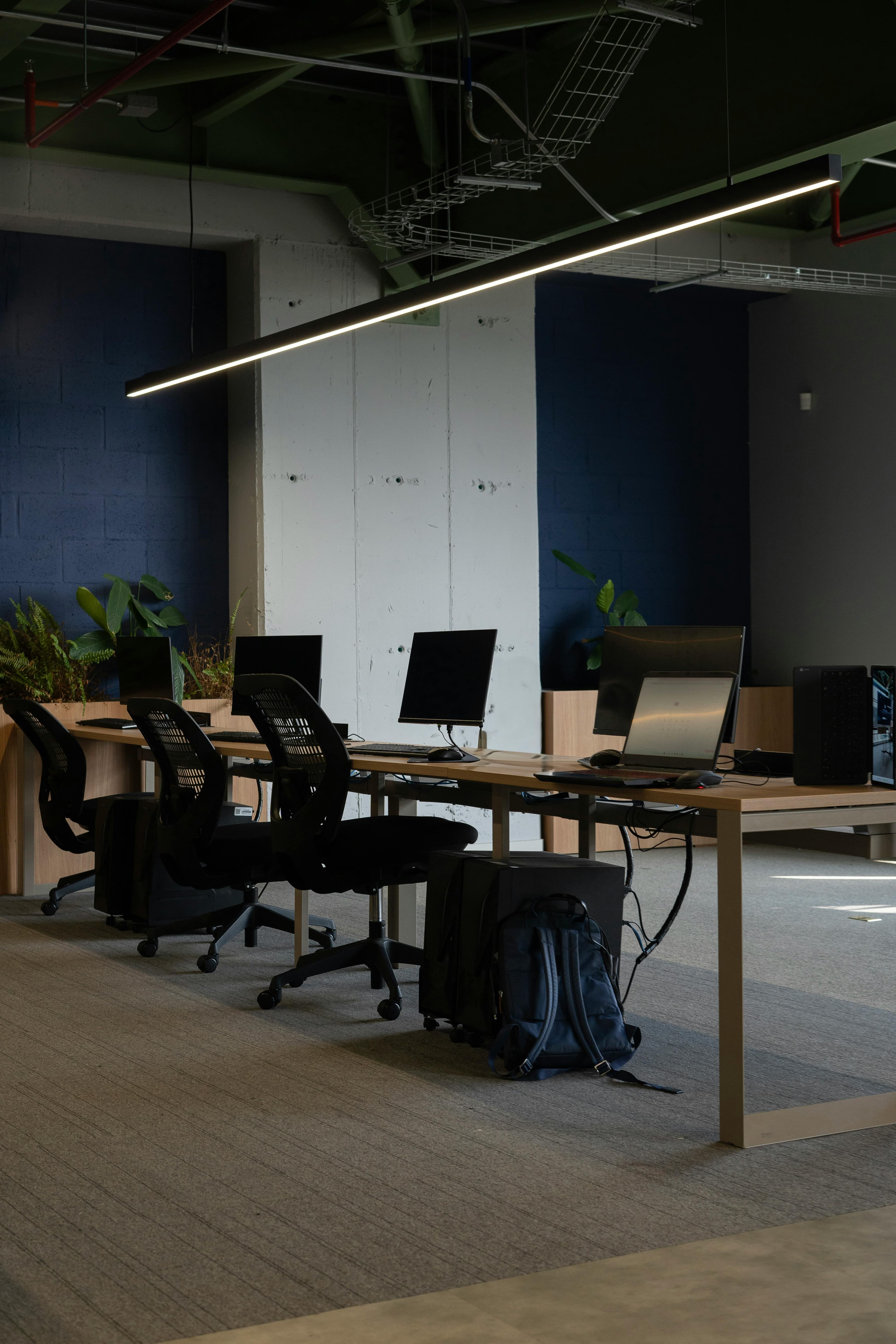 Managed office workspace with desks, monitors, plants, and natural light